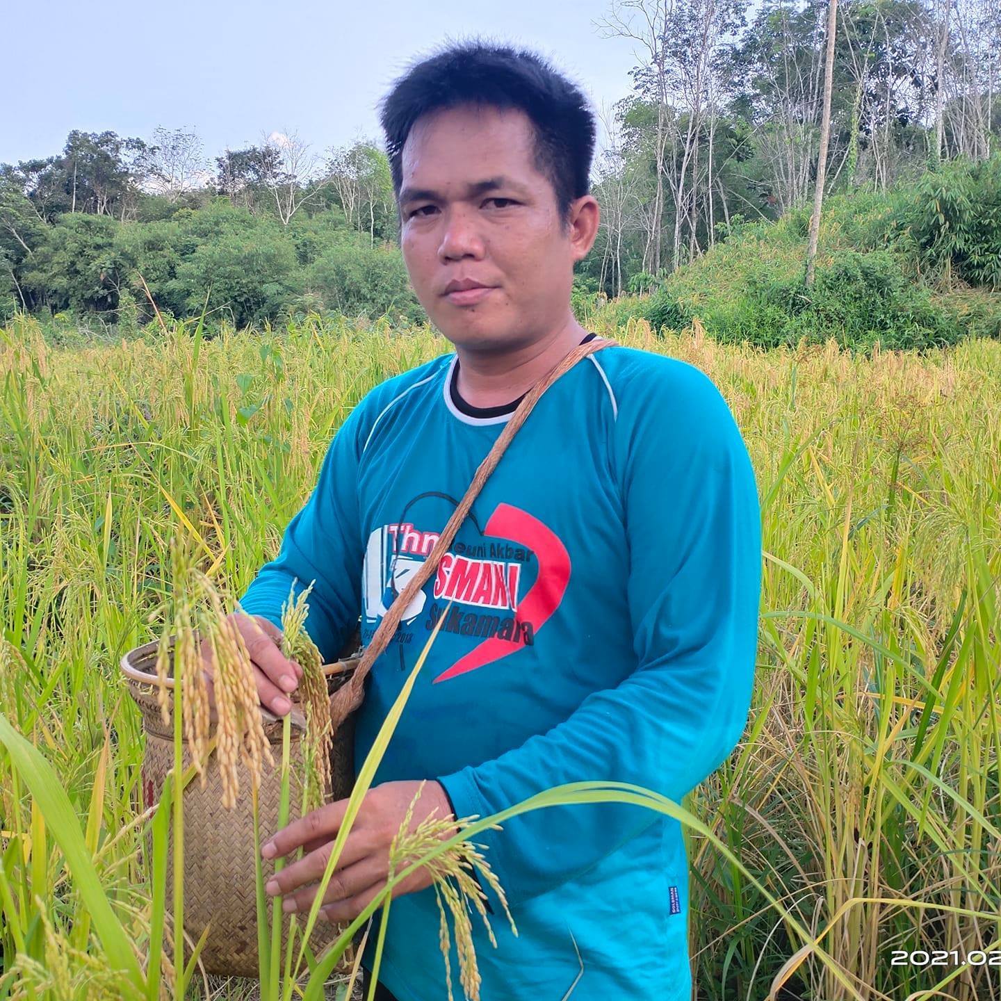 Willem Hengki di ladang padi miliknya di Desa Kinipan (Foto/FB Wilem Hengki)