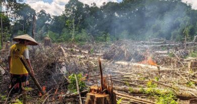 Peladang Takkan Mati Terbakar Akibat Apinya Sendiri: Ladang Berpindah, Kebakaran Hutan dan Kriminalisasi